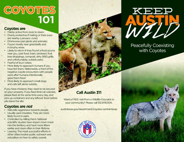 Coyotes 101 Brochure